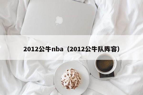 2012公牛nba（2012公牛隊陣容）