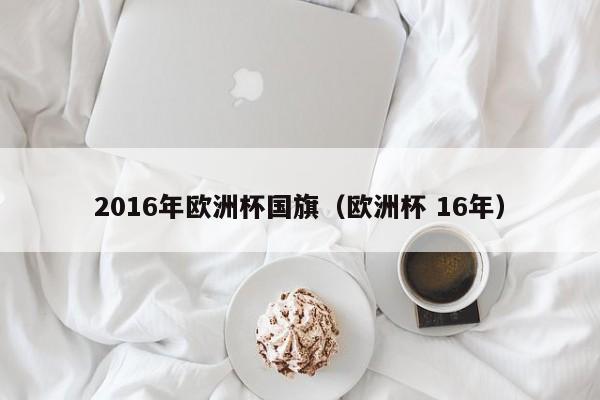 2016年歐洲杯國旗（歐洲杯 16年）