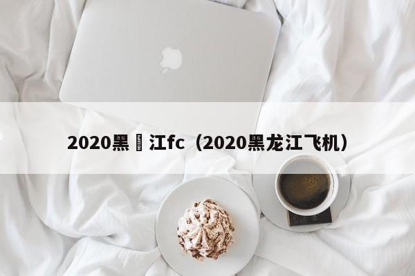 2020黑龍江fc（2020黑龍江飛機）