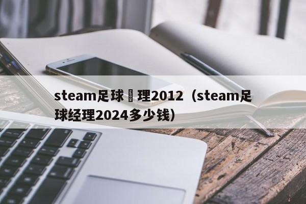 steam足球經理2012（steam足球經理2024多少錢）