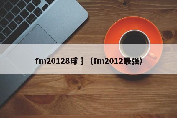 fm20128球員（fm2012最強）