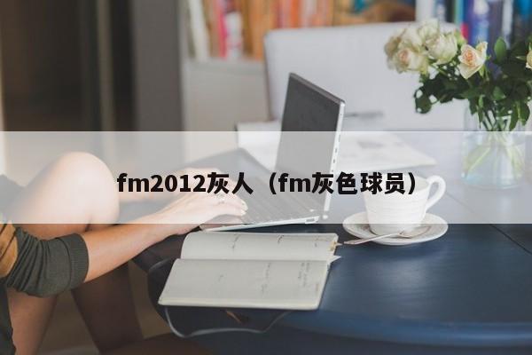 fm2012灰人（fm灰色球員）