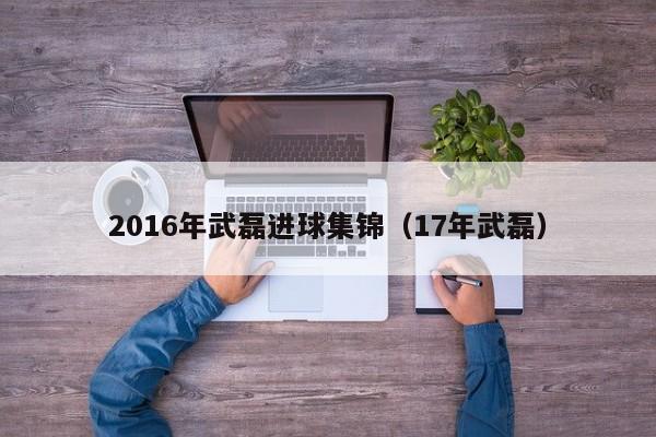 2016年武磊進球集錦（17年武磊）