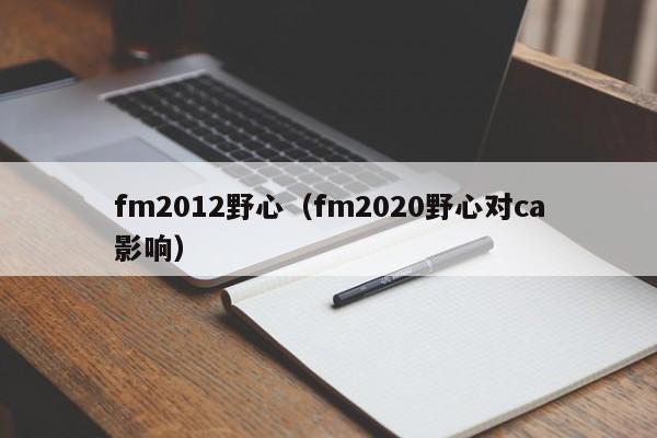 fm2012野心（fm2020野心對ca影響）