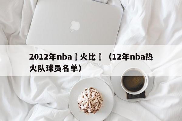 2012年nba熱火比賽（12年nba熱火隊球員名單）