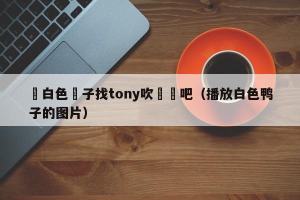 這白色鴨子找tony吹過頭吧（播放白色鴨子的圖片）