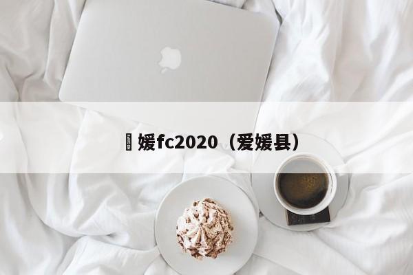 愛媛fc2020（愛媛縣）