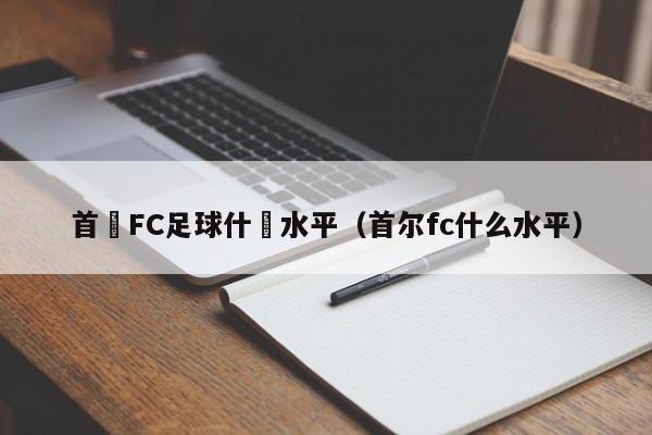 首爾FC足球什麼水平（首爾fc什麼水平）