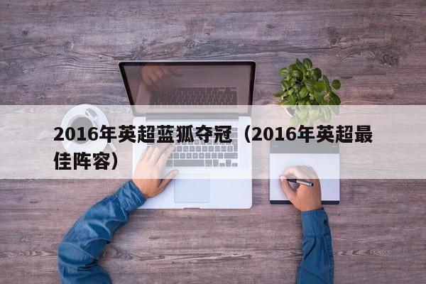 2016年英超藍狐奪冠（2016年英超最佳陣容）