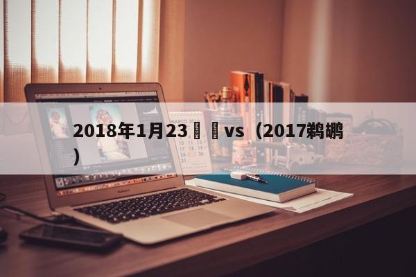 2018年1月23鵜鶘vs（2017鵜鶘）