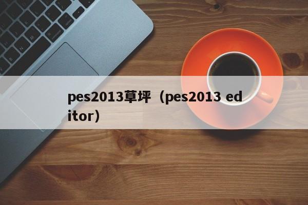 pes2013草坪（pes2013 editor）