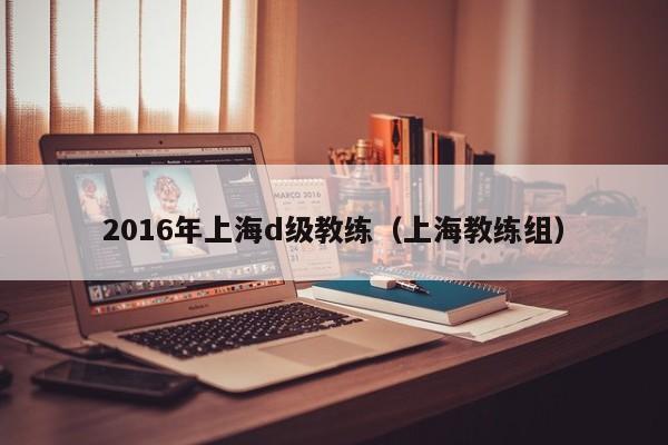 2016年上海d級教練（上海教練組）