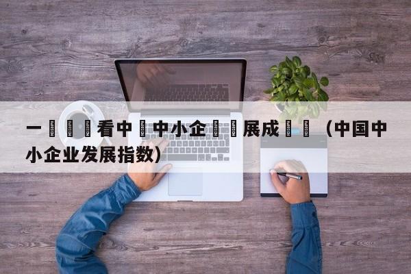 一組數據看中國中小企業髮展成績單（中國中小企業發展指數）