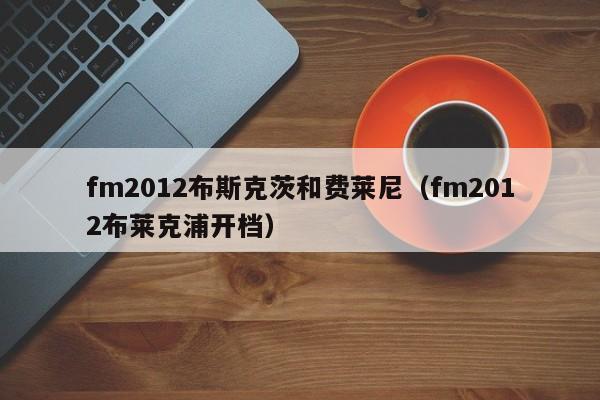 fm2012布斯克茨和費萊尼（fm2012布萊克浦開檔）