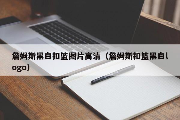 詹姆斯黑白扣籃圖片高清（詹姆斯扣籃黑白logo）