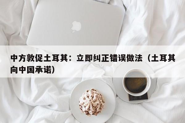 中方敦促土耳其：立即糾正錯誤做法（土耳其向中國承諾）