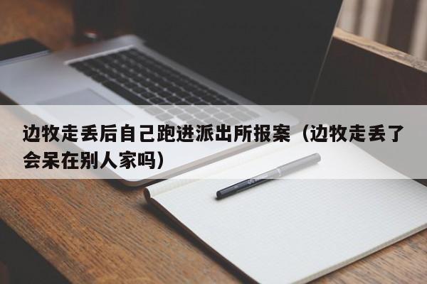 邊牧走丟後自己跑進派出所報案（邊牧走丟了會呆在別人家嗎）