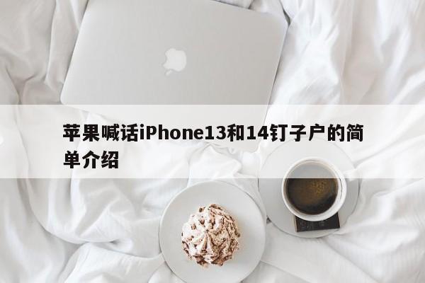 蘋果喊話iPhone13和14釘子戶的簡單介紹